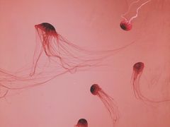 -沈阳海洋探索中心