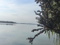 -南湖湿地公园