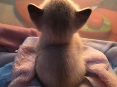 -韩宫宴烤肉·料理(南京江宁万达店)