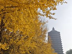 -玲珑塔公园