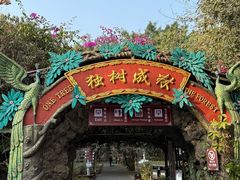 -瑞丽独树成林风景区