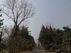 -北京植物园南门售票处