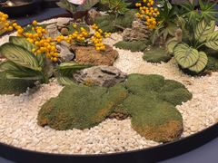 -丽华园(青少年宫店)