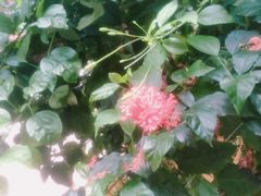 -龙达温泉生态城