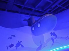 -北戴河圣蓝海洋公园