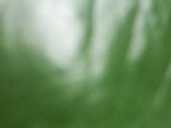 -苏州市姑苏区少年宫(沧浪分部)