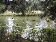 -长白岛森林公园