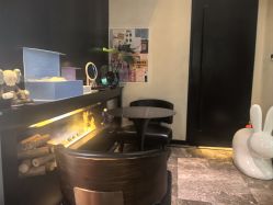 点击看大图 -玛莲朵·海菲秀冰珀科
