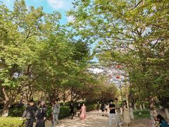 -西安青龙寺遗址景区