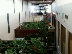 android_upload_pic-茶席蓉会(ICON·英郡二期店)