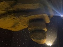 -秘地·影院式足浴SPA(凤三旗舰店)