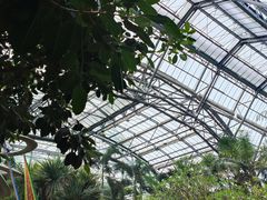 -南山植物园