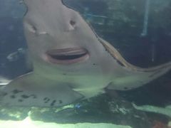 -厦门海底世界