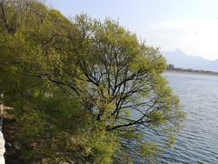 -清溪水库