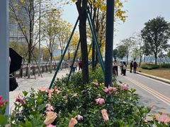 -洲头咀公园