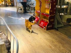-小时光咖啡馆(开森度假森林店)