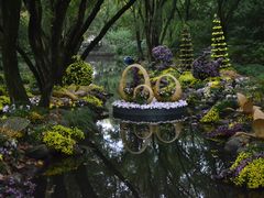 -上海共青森林公园