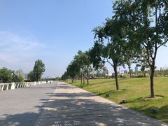 -上海山野camping·户外天幕烧烤·团建拓展营地