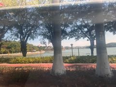 -仙湖旅游度假区