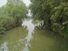 -长兴太湖图影湿地文化园
