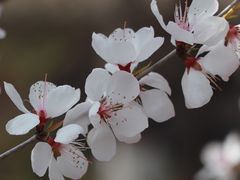 -迎泽公园