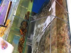 -兄弟爬爬虾(北京路店)