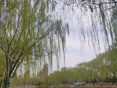 -东升八家郊野公园