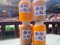 -西双版纳原始森林公园