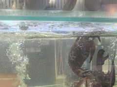 -1718海鲜姿造(苏宁宴请臻选店)