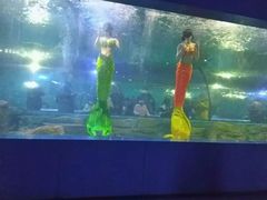 -重庆欢乐海底世界