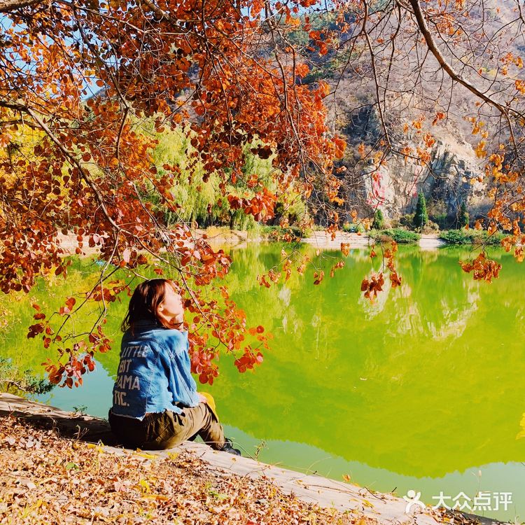 来这里原本是为了和朋友约着一起打cs