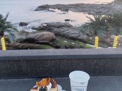 -Vanillacafe香草咖啡(银海大世界店)