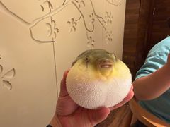 -永安鱼庄·镇江菜(东吴路店)