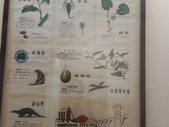-广东中医药博物馆