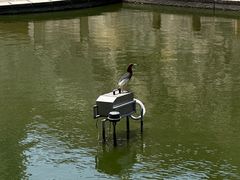 -石炮台公园