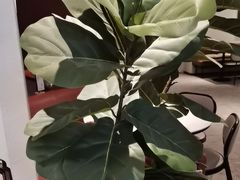 -必胜客(吾悦广场店)