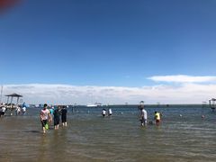 -碧海金沙