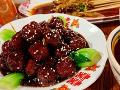 -福苗小骆驼烧烤(莲湖路店)