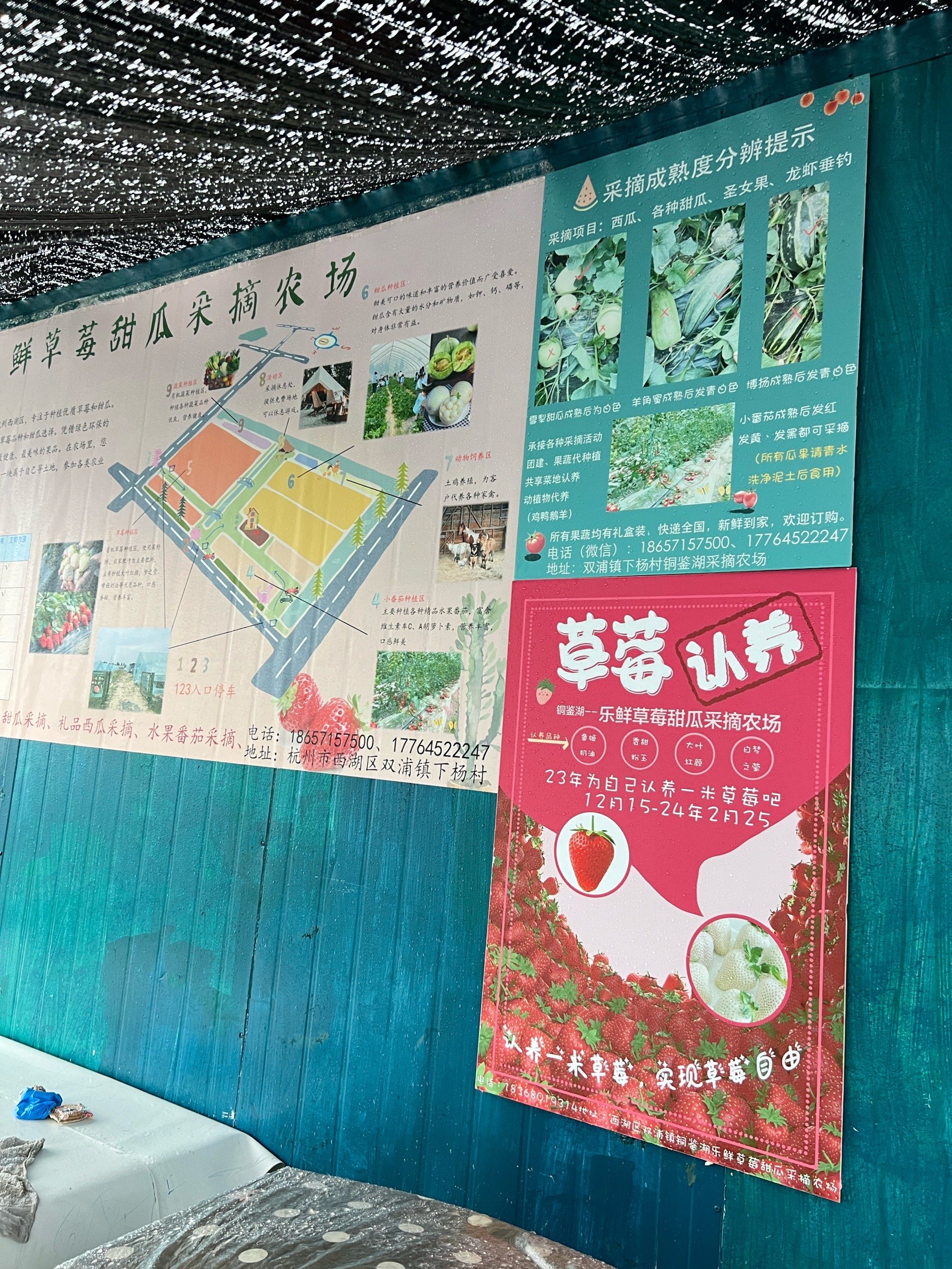 认养一片草莓🍓
