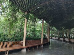 -郑州方特梦幻王国