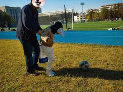 -上海财经大学(国定路校区)