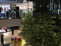 -DFS迪斐世(香港广东道店)