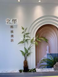 -皙塑美肤·spa