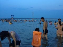 -碧海金沙