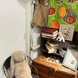 南宁咖啡丨超级可爱的居民楼小店🫡有猫!