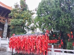 -大理文庙(大理古城)