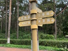 -黑龙江省森林植物园