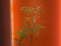 -东门口·新式老北京火锅(河西龙湖天街店)