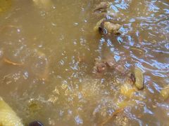 -食德喜·阳山鸡王食研基地