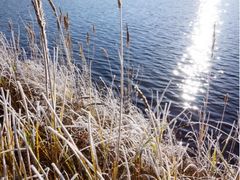 iphone_upload_pic-塞罕坝国家级自然保护区